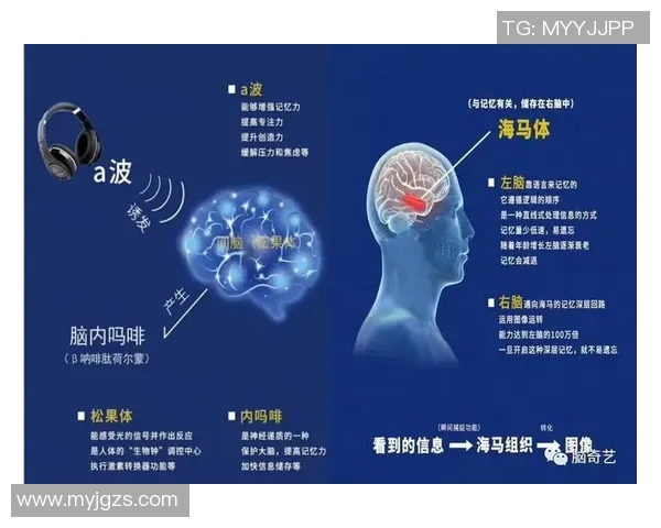 专访刘伟:深入探讨足球成功背后的秘密与经验分享 专访刘伟:深入探讨足球成功背后的秘密与经验分享